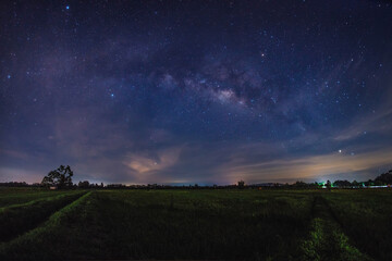 The Milky Way galaxy on rice paddy fields. Long exposure photograph, with grain.Image contain certain grain or noise and soft focus.