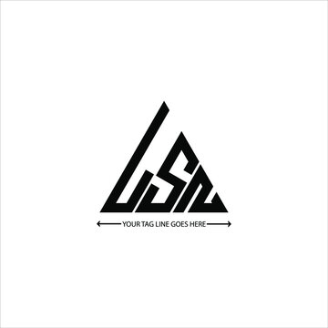 LSN letter logo creative design. LSN unique design
