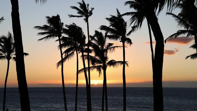 Beautiful sunset on the Big Island, Kohala Coast, Waikoloa,
HAWAII