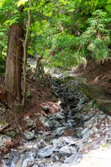 Shintakimichi hiking course for mount Myoken