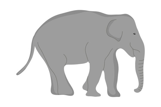 cartoon elephant icon