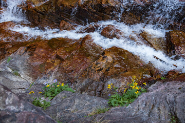 Upper Virginia Falls, Glacier National Park, Montana