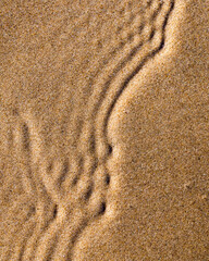 patterns in the sand at the beach