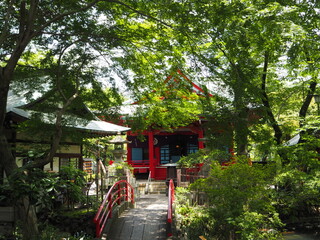 Inokashira Park Benzaiten Shrine in Tokyo, Japan