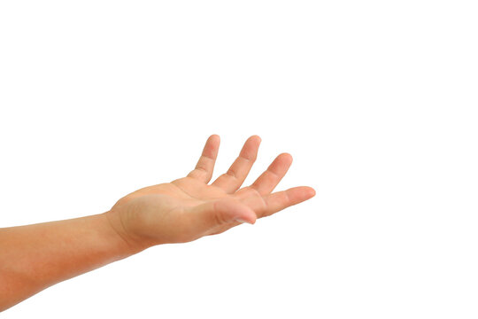 People hand with open palm up or receive gesture isolated on white background. Holding or offering concept. Image with Clipping path