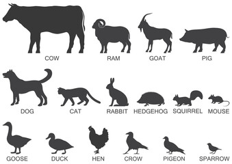 Silhouettes of animals of the farm and suburb, icon set. Vector illustration.