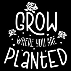 grow where you are planted on black background inspirational quotes,lettering design