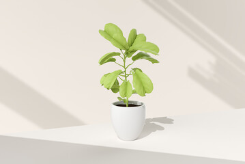 Tree pot in white background. minimal concept idea creative. 3D render.