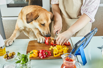 Teenager with dog is preparing an online, virtual master class and views a digital recipe on a touchscreen tablet while preparing healthy meal in the kitchen at home