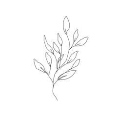 Leaves Branch Line Art Drawing. Floral Minimalist Contour Drawing. One Line llustration. Simple Plant Black Sketch Isolated on White Background. Vector EPS 10