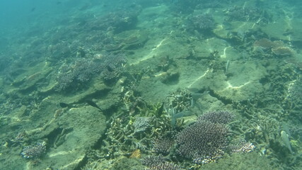 マレーシア　ティオマン島の海