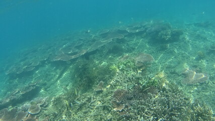 Fototapeta na wymiar マレーシア　ティオマン島の海