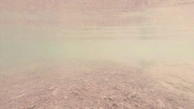 Some aquatic shots of a red crayfish, recorded up close, underwater. In the lake of Salagou, France.