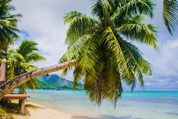 Moorea stunning beautiful beaches, white sand, clear turquoise water, blue lagoons, Tahiti, French Polynesia, Pacific islands