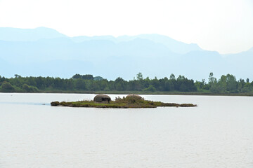 Kleine Insel mit Bunker und Berge im Hintergrund in der Lagune e Patokut, Albanien