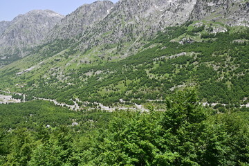 Blick auf die Serpentinen der Passstraße im Tal im Nationalpark Theth in Albanien mit viel grüner...