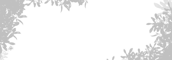 frame silhouette of leaves on white background with empty space