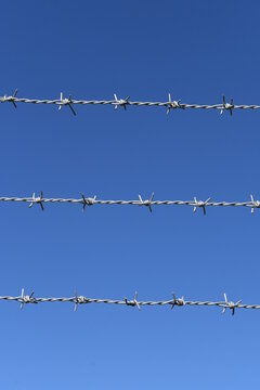 バラ線 Images Browse 70 Stock Photos Vectors And Video Adobe Stock