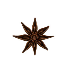 a single star anise isolated on white