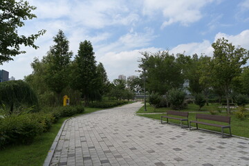 park with promenade path and Trees
