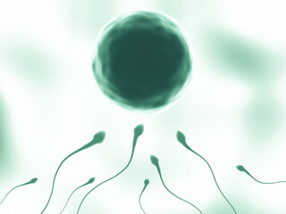 3D Green sperm and egg cell. - obrazy, fototapety, plakaty