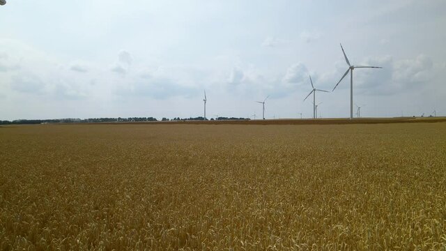 Low aerial of wind turbines across a yellow wheat field Zwartowo Pomerania, Poland