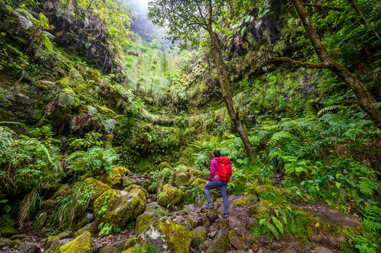 Levada do Caldeir&atilde;o - hiking path in the forest in Levada do Caldeirao Verde Trail - tropical scenery on Madeira island, Portugal.