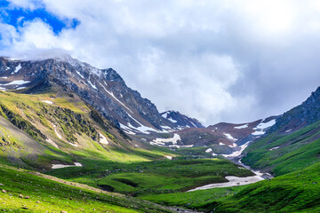 Fototapeta premium Nalati grassland with snow mountain scenery in Xinjiang,China.