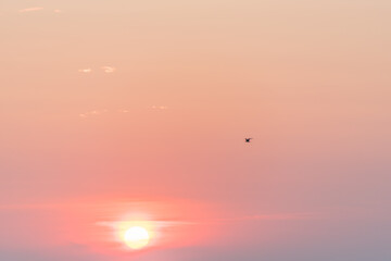 Pink Summer Sunset on the Baltic Sea