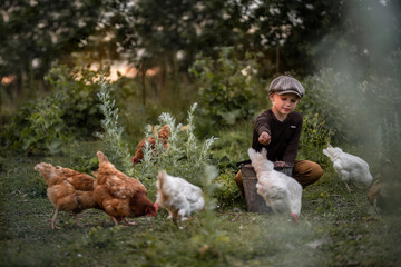 The boy feeds the chickens outdoors. Farmer.