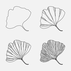 Gingko biloba leaf. Set of simple icons. Line design, editable strokes. Vector illustration, EPS 10