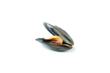 Fresh mussel seafood isolated on white background