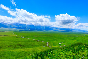 Nalati Grassland natural scenery in Xinjiang,China.