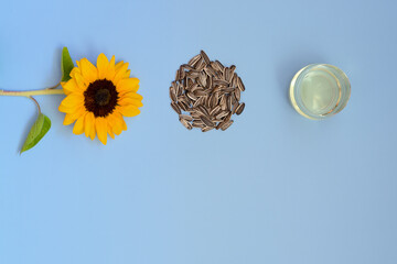 Top view of fresh yellow sunflower with sunflower seeds, sunflower oil on blue background. Flat...