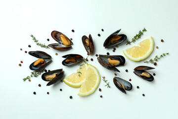 Fresh mussels on white background, top view