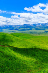 Fototapeta na wymiar Nalati Grassland natural scenery in Xinjiang,China.