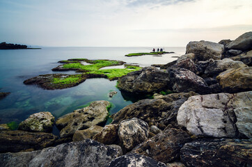 Byblos coastline with fishermen on a rock covered with algae in water, Jbeil, Lebanon