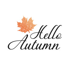 Hello autumn with watercolor leaf vector illustration, autumn lettering in isolated background for greeting card, banner, poster, label and post card