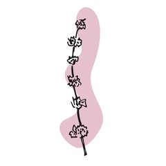 The plant is drawn by hand with a pen and translated into vector format. In the background there is an abstract colored spot. Stock vector illustration. For garment decoration, packaging, interior