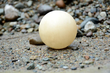 closeup the white color old cricket ball over out of focus blue grey background.
