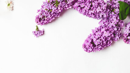 spring background. lilac flowers on white background, copy space. . Mother day, women day, valentines day