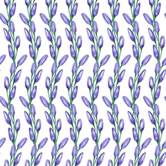 Fototapeta na wymiar Seamless pattern of purple tulips, watercolor