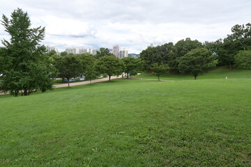 Fototapeta premium big park with grass and trees