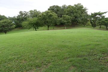 big park with grass and trees