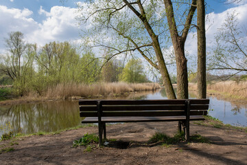 Fototapeta na wymiar Wooden park bench in nature. A good place to sit in Rotterdam