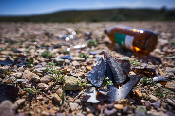 Closeup of broken glass and a beer bottle lying on the ground.