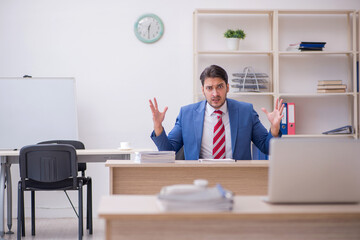 Naklejka premium Young attractive employee working in the office