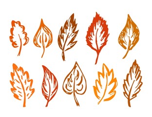 Simple vector color drawing. Set of dry autumn leaves for seasonal design.