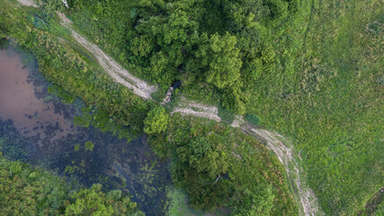 Drone top view of a white stone road in the green countryside 