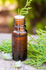 Juniper essential oil in a small bottle. Selective focus.